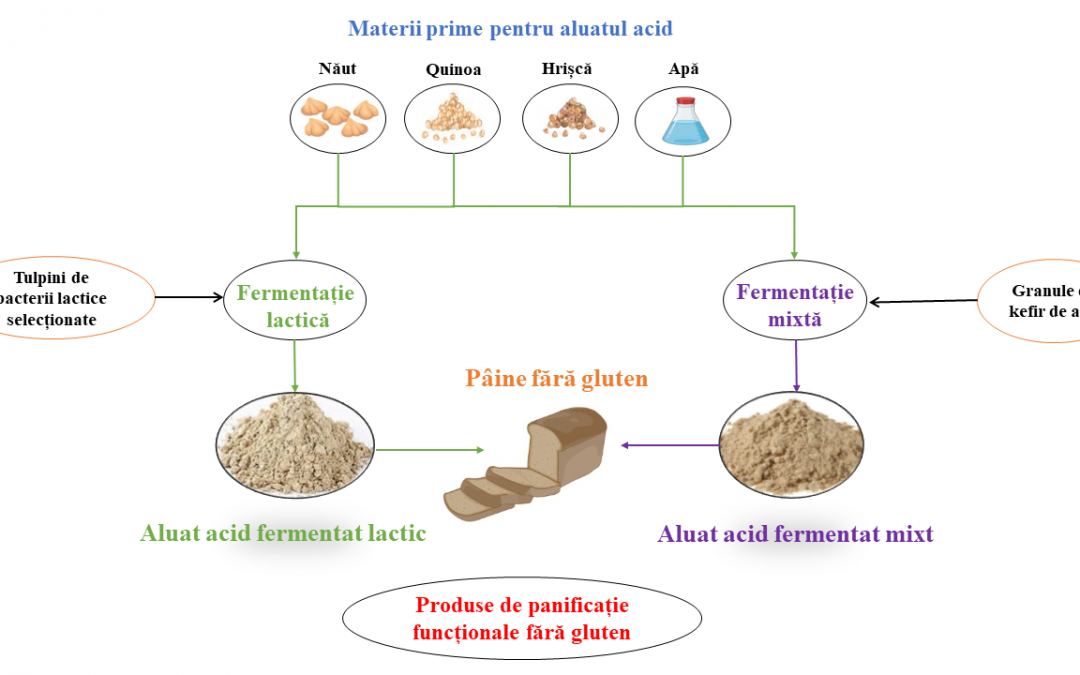 SOLUȚII INOVATIVE PRIVIND DIVERSIFICAREA GAMEI DE PRODUSE DE PANIFICAȚIE FUNCȚIONALE CU STABILITATE MICROBIOLOGICĂ EXTINSĂ