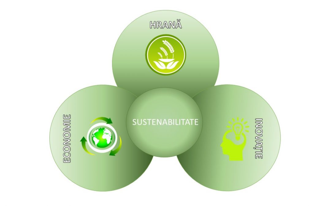 Integrarea subproduselor alimentare în avangardismul culinar în vederea obținerii unui produs alimentar sustenabil și inovativ