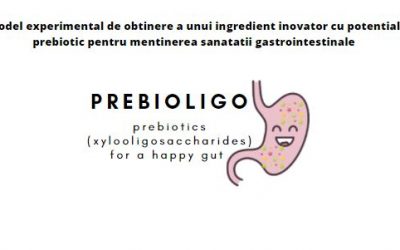 Model experimental de obtinere a unui ingredient inovator cu potential prebiotic pentru mentinerea sanatatii gastrointestinale