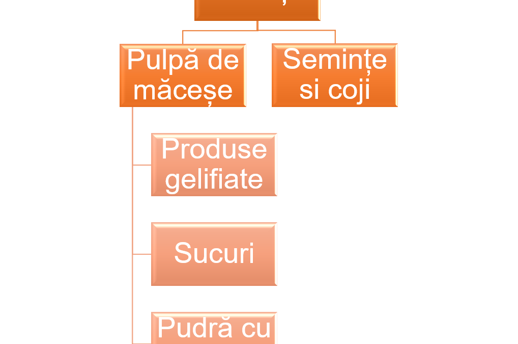 Valorificarea integrată a fructelor de măceșe (Rosa canina) în produse alimentare și bioingrediente cu funcționalitate demonstrată