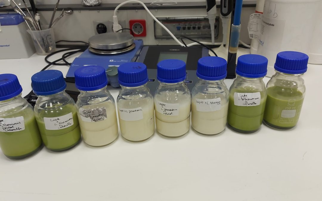 Dezvoltarea unei băuturi inovative fermentate cu pudră de Chlorella