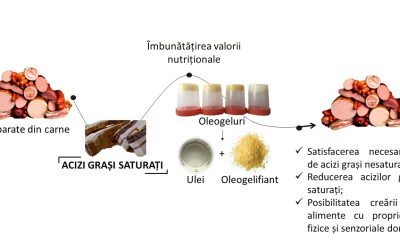 Oleogeluri cu aplicabilitate în preparate din carne îmbunătățite nutrițional