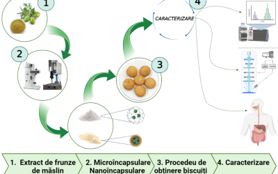 Evoluția profilului compușilor fenolici ai extractului de frunze de măslin microîncapsulat și nanoîncapsulat în biscuiți în timpul digestiei gastrointestinale in vitro