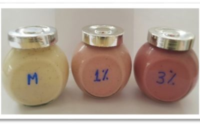Sos de iaurt cu adaos de pudră microîncapsulată din extract antocianic din coji de ceapă roșie (Allium cepa L.) – produs cu valoare adăugată și tehnologia de obținere