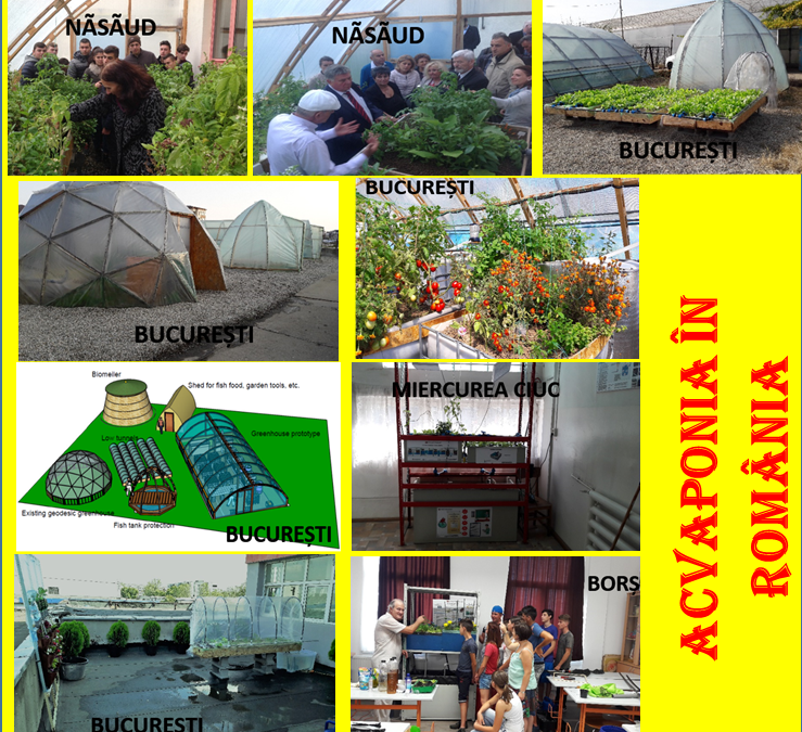 Centru acvaponic pentru productia alimentelor sustenabile