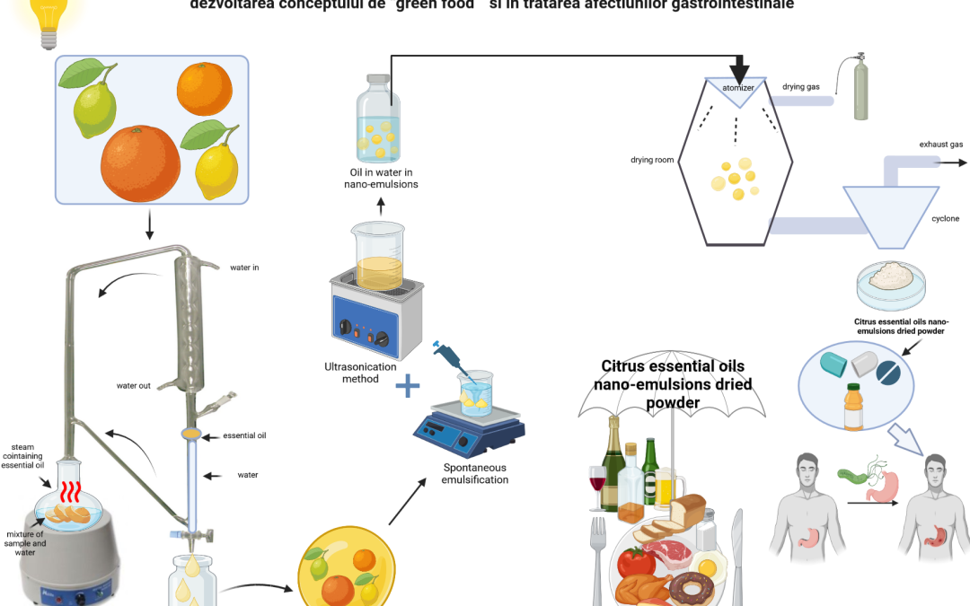 Model experimental de obținere a unui ingredient inovator cu potențial antioxidant și antimicrobian cu aplicabilitate în dezvoltarea conceptului de “green food“ și în tratarea afecțiunilor gastrointestinale