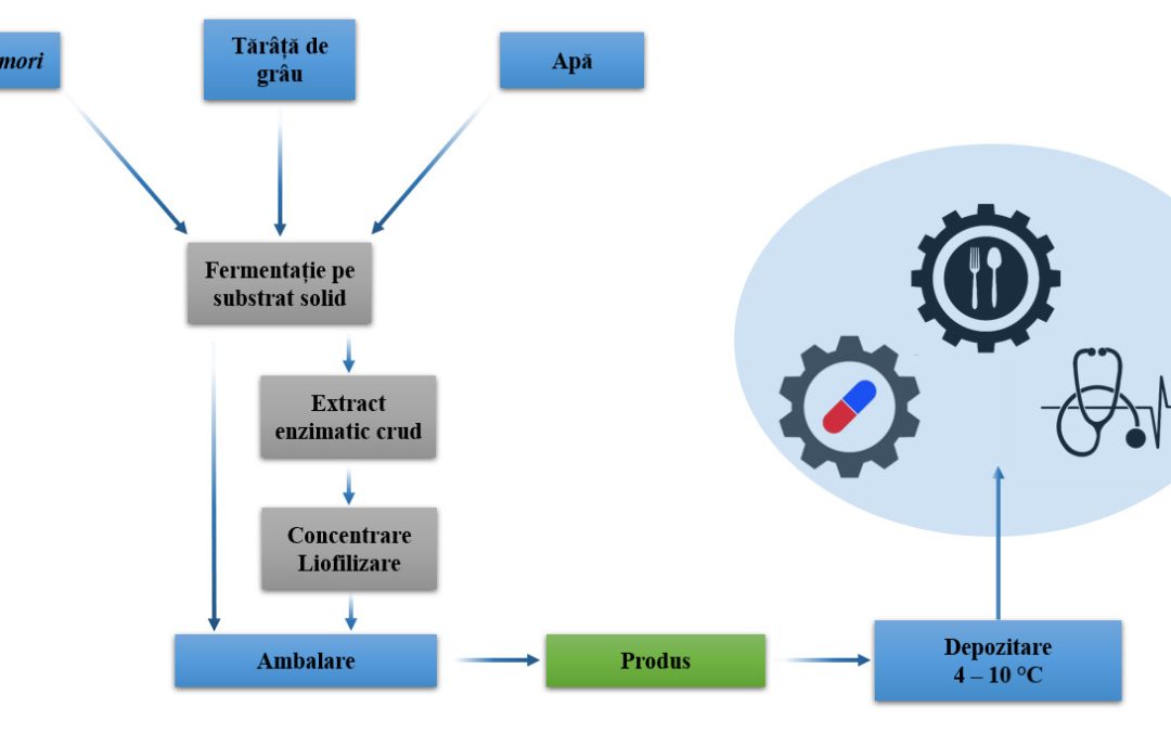 Valorificarea subproduselor agroindustriale pentru producția de enzime
